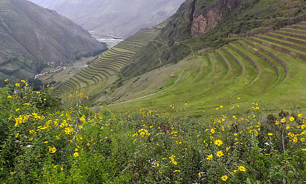 Pisac ruins peru