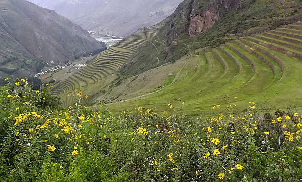 Pisac ruins peru