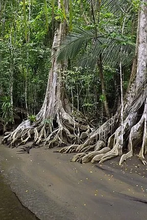 Costa Rica travel for nature and wildlife