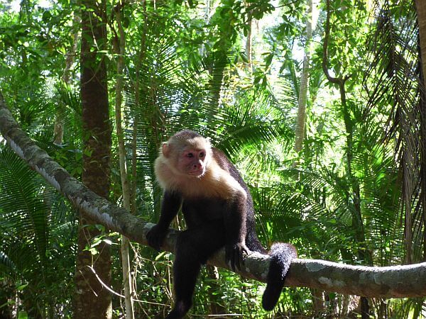 Costa Rica travel splurge 