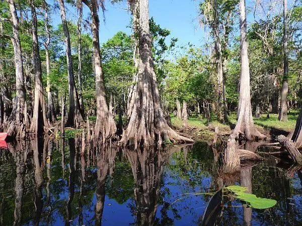 kayaking central Florida adventure close to home
