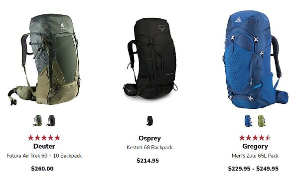 travelers backpacks