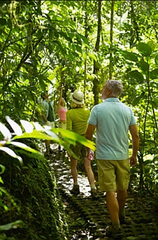 jungle adventure Mexico