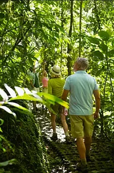 jungle adventure Mexico