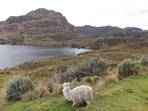Las Cajas National Park in Ecuador