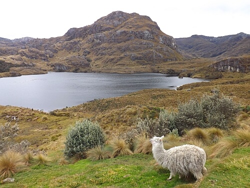 national park near Cuenca