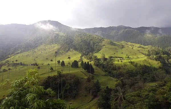 Cocora Valley near Solento