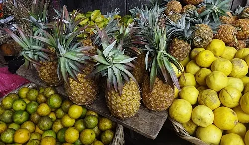 nica-fruit shopping Nicaragua