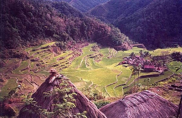 travel in the 1990s