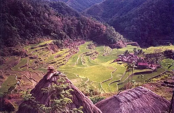 travel in the 1990s