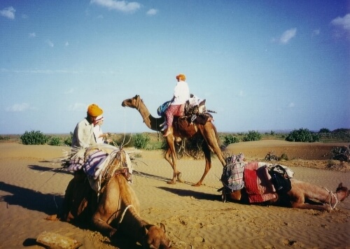 camel safari