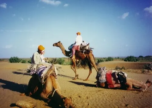 camel safari