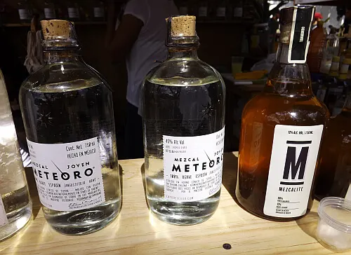 mezcal festival