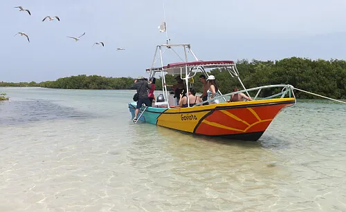 VIP Holbox excursion
