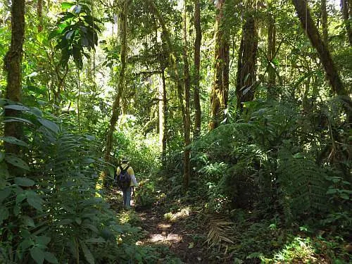 hiking Baru