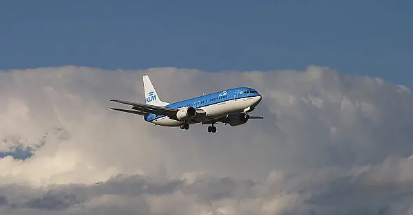 find a cheap flight