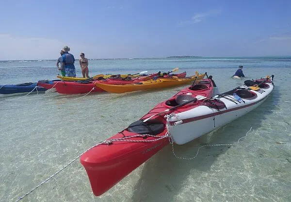 organized travel tour in Belize on the reef