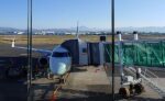 have an onward ticket so you can board your flight