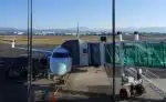 have an onward ticket so you can board your flight