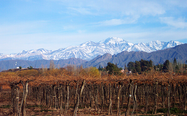 Argentina Mendoza tour