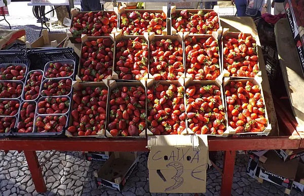 prices in Portugal