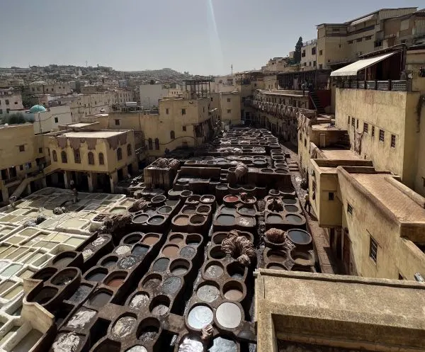 tour in Fez, Morocco
