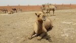 traveling in Morocco