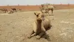 traveling in Morocco