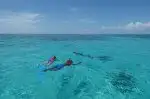 Belize snorkeling