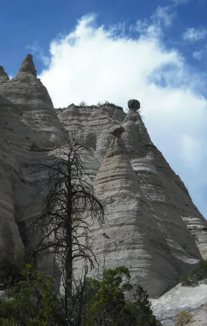 New Mexico