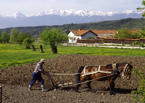 education through travel Bulgaria
