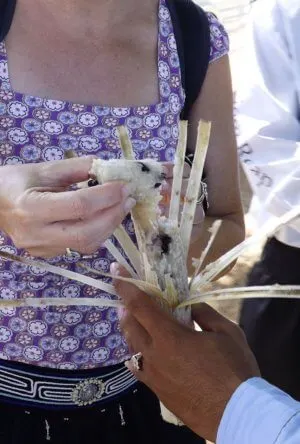 sticky rice cooked in bamboo on a local tour in Cambodia