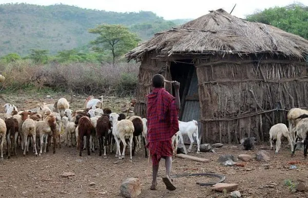 Maasai village travel story