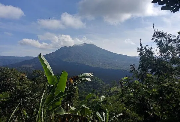 the magic drawing expats to Bali