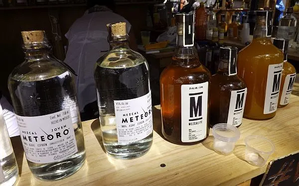 Oaxaca mezcal festival 
