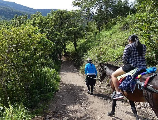 Getting to Gocta Falls by horseback