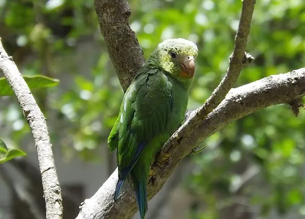 nature in Ecuador