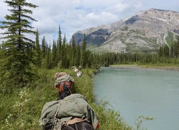 Muskwa-Kechika Wilderness of British Colombia