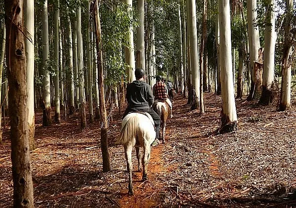 tour of South America horseback riding
