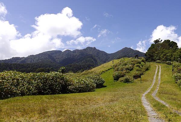 countryside near Volcan Baru 