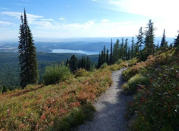 Whitefish mountain hike 