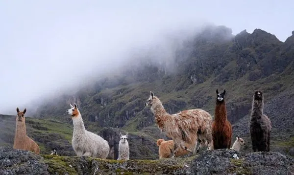 Andes Mountains weather in Peru
