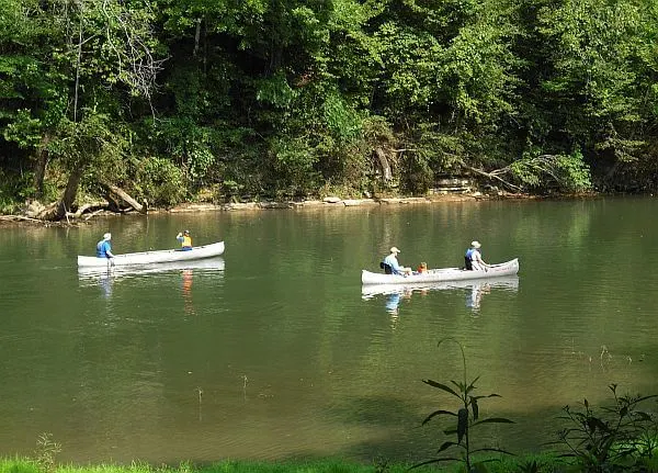 canoeing on the Buffalo River Tennessee 