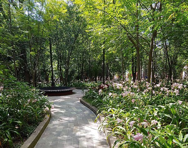 park near the Presa de la Olla in Guanajuato