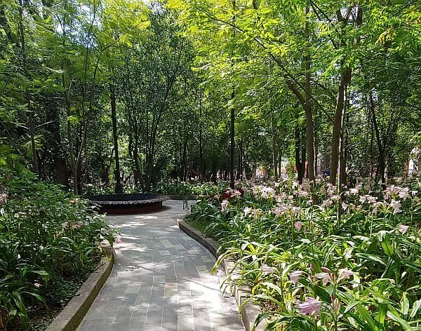park near the Presa de la Olla in Guanajuato