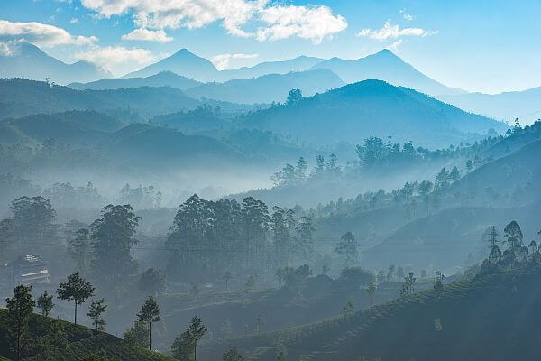 Munnar Kerala view by Srinivasan Venkataraman
