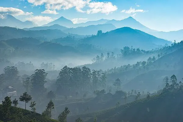 Munnar Kerala view by Srinivasan Venkataraman