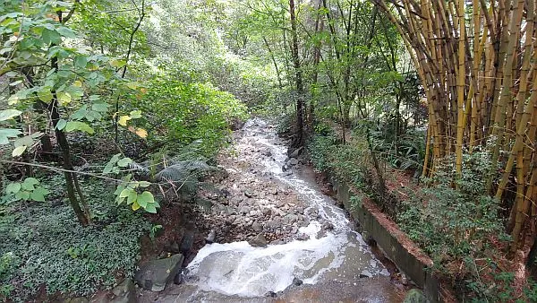 green Medellin