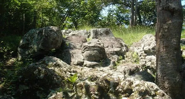 Los Sapos - by Hacienda San Lucas