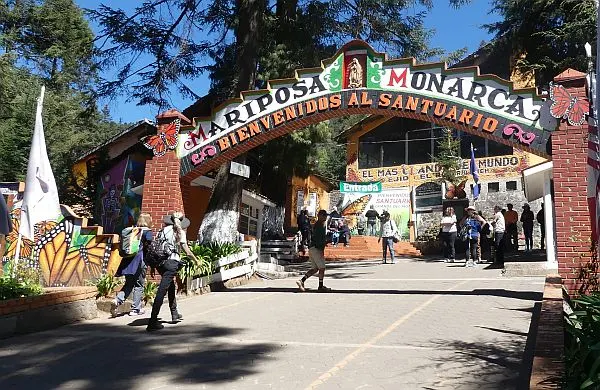 El Rosario monarch butterfly park Michoacan